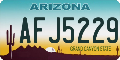 AZ license plate AFJ5229