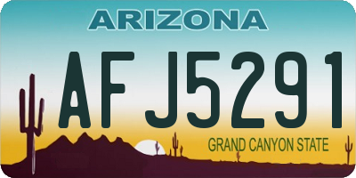 AZ license plate AFJ5291