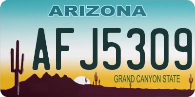 AZ license plate AFJ5309