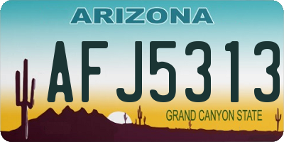 AZ license plate AFJ5313