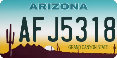 AZ license plate AFJ5318