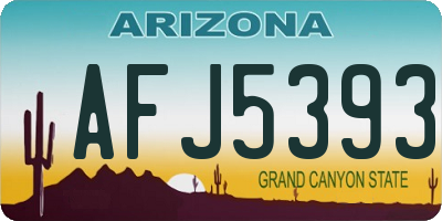 AZ license plate AFJ5393