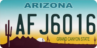 AZ license plate AFJ6016