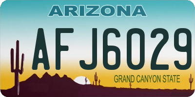AZ license plate AFJ6029