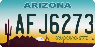 AZ license plate AFJ6273