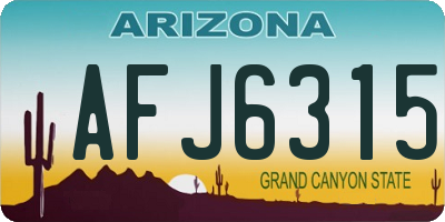 AZ license plate AFJ6315