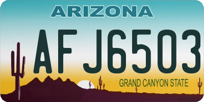 AZ license plate AFJ6503