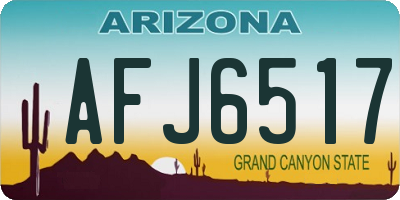 AZ license plate AFJ6517