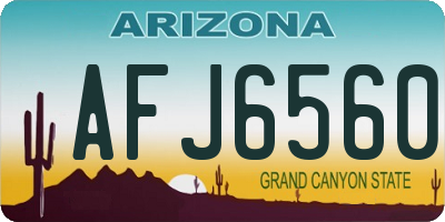AZ license plate AFJ6560