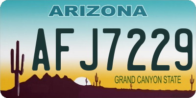 AZ license plate AFJ7229