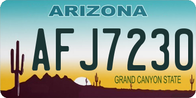 AZ license plate AFJ7230
