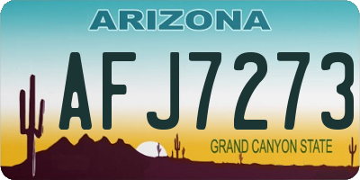 AZ license plate AFJ7273