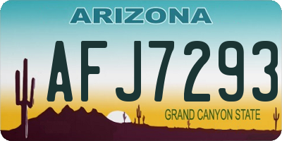 AZ license plate AFJ7293