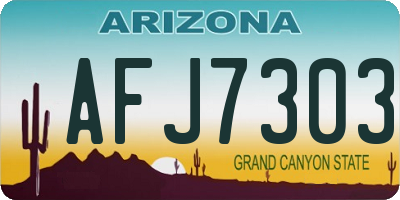AZ license plate AFJ7303