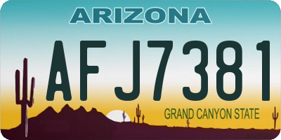 AZ license plate AFJ7381