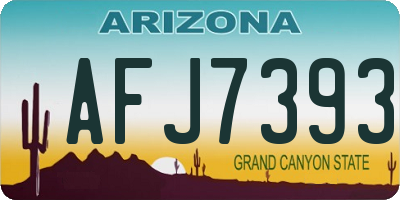 AZ license plate AFJ7393