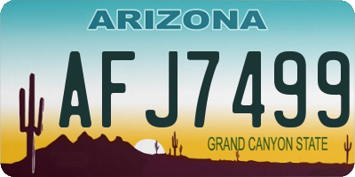 AZ license plate AFJ7499