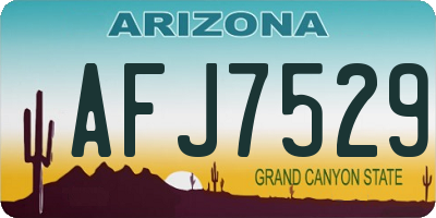 AZ license plate AFJ7529