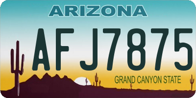 AZ license plate AFJ7875