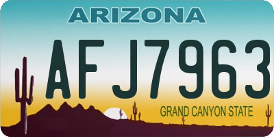AZ license plate AFJ7963