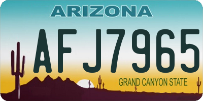 AZ license plate AFJ7965