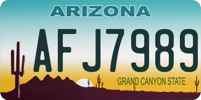 AZ license plate AFJ7989