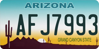 AZ license plate AFJ7993