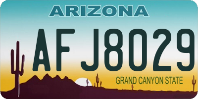AZ license plate AFJ8029