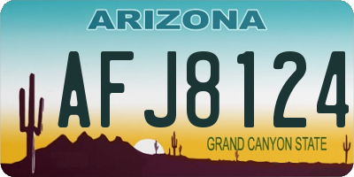 AZ license plate AFJ8124