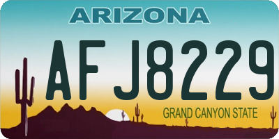 AZ license plate AFJ8229