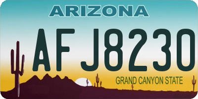 AZ license plate AFJ8230