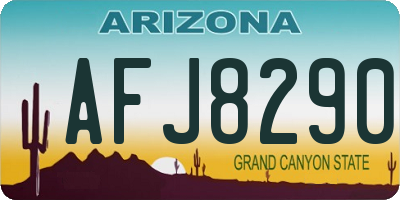 AZ license plate AFJ8290