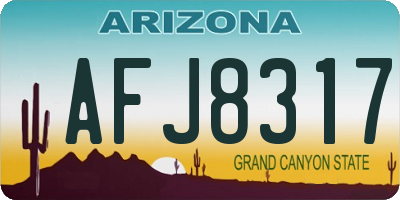 AZ license plate AFJ8317