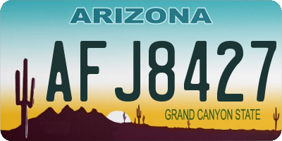 AZ license plate AFJ8427