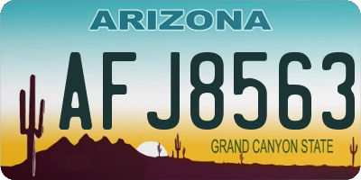 AZ license plate AFJ8563
