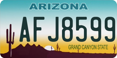 AZ license plate AFJ8599