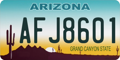 AZ license plate AFJ8601