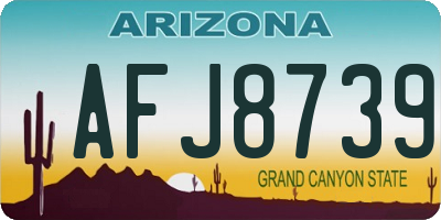AZ license plate AFJ8739