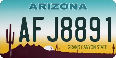 AZ license plate AFJ8891