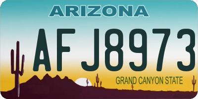 AZ license plate AFJ8973