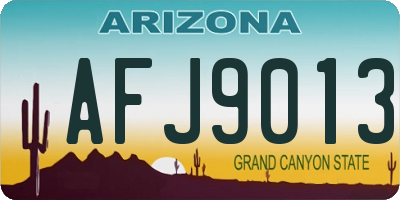 AZ license plate AFJ9013