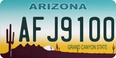 AZ license plate AFJ9100