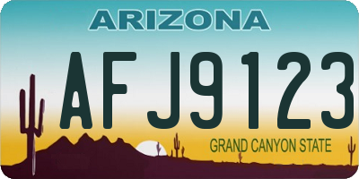 AZ license plate AFJ9123