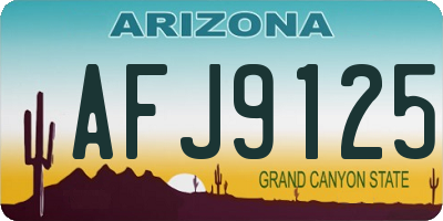 AZ license plate AFJ9125