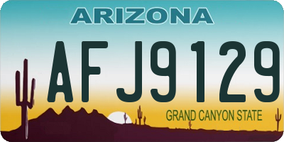 AZ license plate AFJ9129