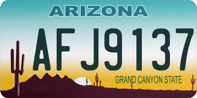 AZ license plate AFJ9137