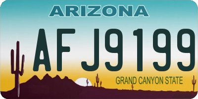 AZ license plate AFJ9199