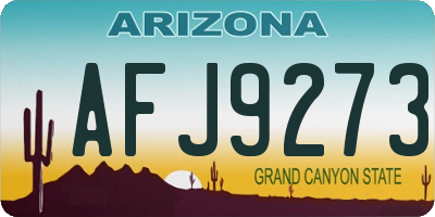 AZ license plate AFJ9273