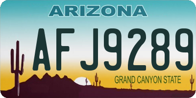 AZ license plate AFJ9289