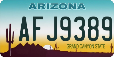 AZ license plate AFJ9389